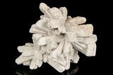Radiating, Sand Celestine (Celestite) Crystals - Kazakhstan #193424-1